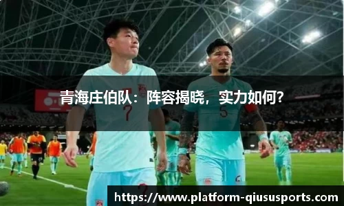 青海庄伯队：阵容揭晓，实力如何？