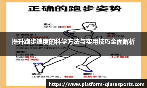 球速体育官网